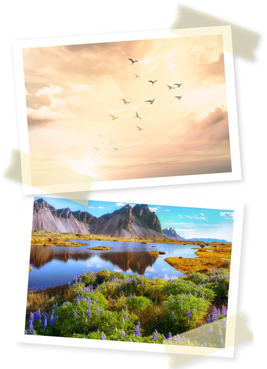 Two images with birds flying through a golden sky in the top image. A vibrant setting of mountains reflecting off water with wildflowers around the water in the bottom image. 